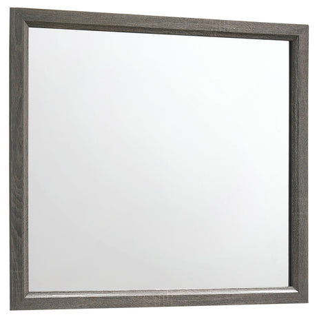 Tampa Furniture Outlet - Coaster - Watson Dresser Mirror Grey Oak - 212424