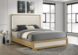 Hyland Wood Queen LED Panel Bed Natural and White - Tampa Furniture Outlet