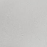 Cassia Eastern King LED Panel Bed White High Gloss