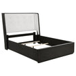 Tampa Furniture Outlet - Coaster - Leandro 55-inch Queen Wingback Bed Burnished Black - 222491Q