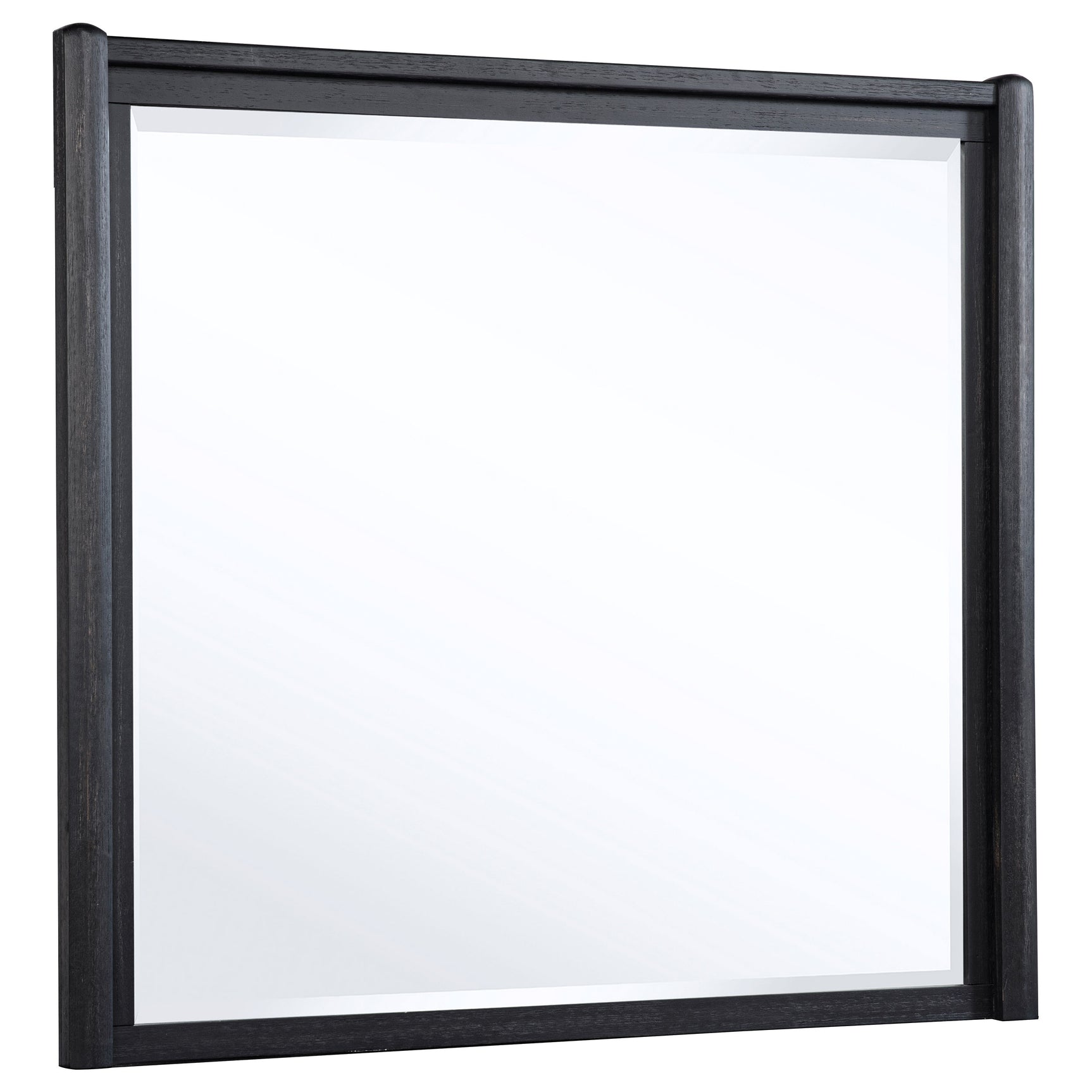 Tampa Furniture Outlet - Coaster - Leandro Dresser Mirror Burnished Black - 222494