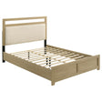 Tampa Furniture Outlet - Coaster - Hendricks Queen Panel Headboard Platform Bed Light Oak - 222651Q