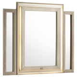 Tampa Furniture Outlet - Coaster - Lorient LED Dresser Mirror Ivory and Camel - 222664