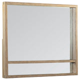 Tampa Furniture Outlet - Coaster - Stillwater Dresser Mirror with Jewelry Shelf - 222804