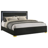 Marceline Wood Eastern King LED Panel Bed Black - Tampa Furniture Outlet
