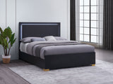 Marceline Wood Queen LED Panel Bed Black - Tampa Furniture Outlet