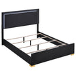 Tampa Furniture Outlet - Coaster - Marceline Wood Queen LED Panel Bed Black - 222831Q
