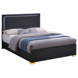Marceline Wood Queen LED Panel Bed Black - Tampa Furniture Outlet