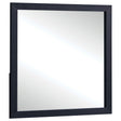 Tampa Furniture Outlet - Coaster - Marceline Dresser Mirror Black - 222834