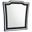 Tampa Furniture Outlet - Coaster - Lorient LED Dresser Mirror Black - 223164