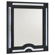 Tampa Furniture Outlet - Coaster - Ravenne Velvet Upholstered LED Dresser Mirror Black - 223194