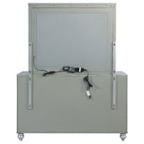 Gunnison 6-drawer Dresser with Mirror Silver Metallic - Tampa Furniture Outlet