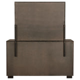 Durango 8-drawer Dresser with Mirror Smoked Peppercorn - Tampa Furniture Outlet