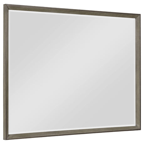 Tampa Furniture Outlet - Coaster - Durango Dresser Mirror Taupe Oak - 223274