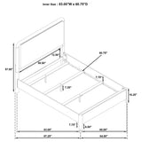 Maderia 57-inch Upholstered Queen Panel Bed Walnut - Tampa Furniture Outlet