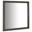 Tampa Furniture Outlet - Coaster - Wright Dresser Mirror Brown Oak - 223344