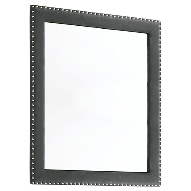 Tampa Furniture Outlet - Coaster - Melody Upholstered Dresser Mirror Grey - 223384
