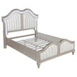 Tampa Furniture Outlet - Coaster - Evangeline Wood Queen LED Panel Bed Silver Oak - 223391Q