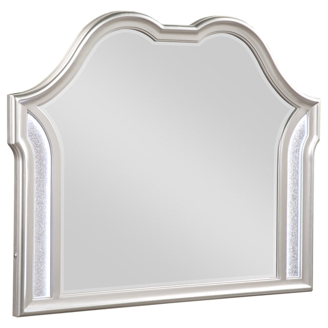 Tampa Furniture Outlet - Coaster - Evangeline Dresser Mirror Silver Oak - 223394