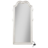 Evangeline Full Length LED Light Floor Mirror Silver Oak - Tampa Furniture Outlet
