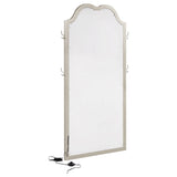 Evangeline Full Length LED Light Floor Mirror Silver Oak - Tampa Furniture Outlet