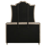Antonella 7-drawer Upholstered Dresser with Mirror Ivory
