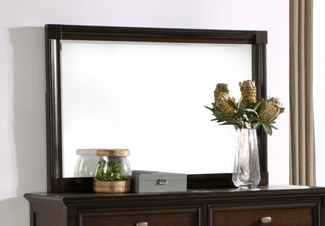 Andover Dresser Mirror Dark Oak - Tampa Furniture Outlet