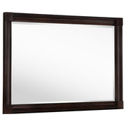 Tampa Furniture Outlet - Coaster - Andover Dresser Mirror Dark Oak - 223634