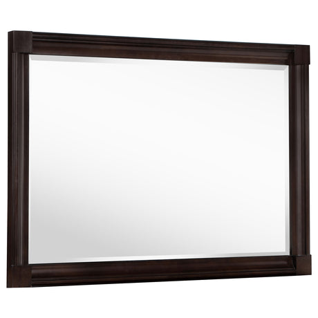 Tampa Furniture Outlet - Coaster - Andover Dresser Mirror Dark Oak - 223634