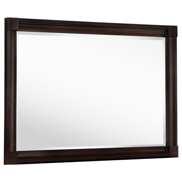 Tampa Furniture Outlet - Coaster - Andover Dresser Mirror Dark Oak - 223634