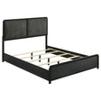 Tampa Furniture Outlet - Coaster - Cavelle 51-inch Upholstered Queen Panel Bed Black - 223661Q