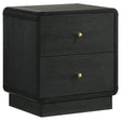 Tampa Furniture Outlet - Coaster - Cavelle 2-drawer Nightstand Bedside Table Black - 223662