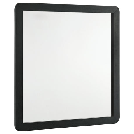 Tampa Furniture Outlet - Coaster - Cavelle Dresser Mirror Black - 223664