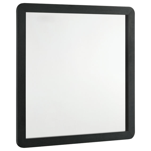 Tampa Furniture Outlet - Coaster - Cavelle Dresser Mirror Black - 223664