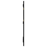 Arini Cane Weave Full Length Standing Floor Mirror Black - Tampa Furniture Outlet