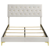 Kendall Upholstered Queen Panel Bed White - Tampa Furniture Outlet