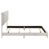 Kendall Upholstered Queen Panel Bed White - Tampa Furniture Outlet