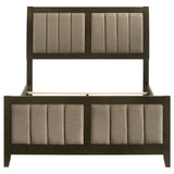 Wilkes 51-inch Upholstered Full Bed Dark Cocoa - Tampa Furniture Outlet
