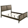 Tampa Furniture Outlet - Coaster - Wilkes 51-inch Upholstered Queen Bed Dark Cocoa - 224421Q