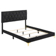 Tampa Furniture Outlet - Coaster - Kendall Upholstered Queen Panel Bed Black - 224451Q