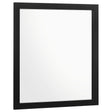 Tampa Furniture Outlet - Coaster - Kendall Dresser Mirror Black - 224454