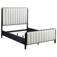 Tampa Furniture Outlet - Coaster - Brookmead 60-inch Upholstered Queen Bed Black - 224710Q