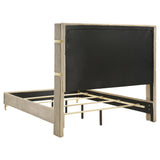 Lucia 61-inch Upholstered Queen Wingback Bed Beige - Tampa Furniture Outlet