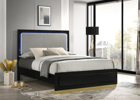 Caraway Wood California King LED Panel Bed Black - Tampa Furniture Outlet