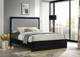 Caraway Wood Queen LED Panel Bed Black - Tampa Furniture Outlet