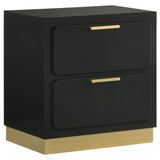 Tampa Furniture Outlet - Coaster - Caraway 2-drawer Nightstand Black - 224782