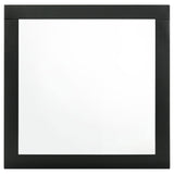 Caraway Dresser Mirror Black - Tampa Furniture Outlet