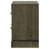Gran Park 2-drawer Nightstand Bedside Table Dark Cocoa - Tampa Furniture Outlet