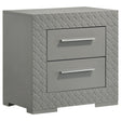Tampa Furniture Outlet - Coaster - Ives 2-drawer Nightstand Bedside Table Grey High Gloss - 224972