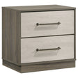 Tampa Furniture Outlet - Coaster - Fenwick 2-drawer Nightstand Bedside Table Grey Oak - 224982